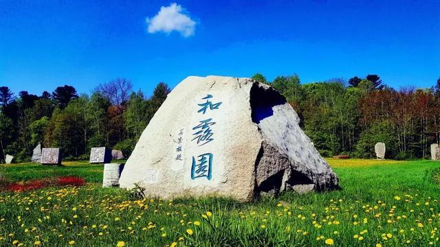 虫虫助手下载