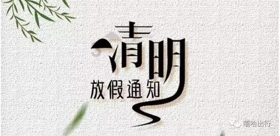 玄凤鹦鹉的毛被虫子咬了还能长吗？，发现共同爱好的红迪网平台