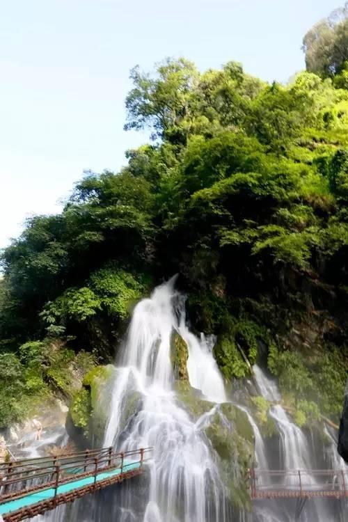 迷失在荒野
